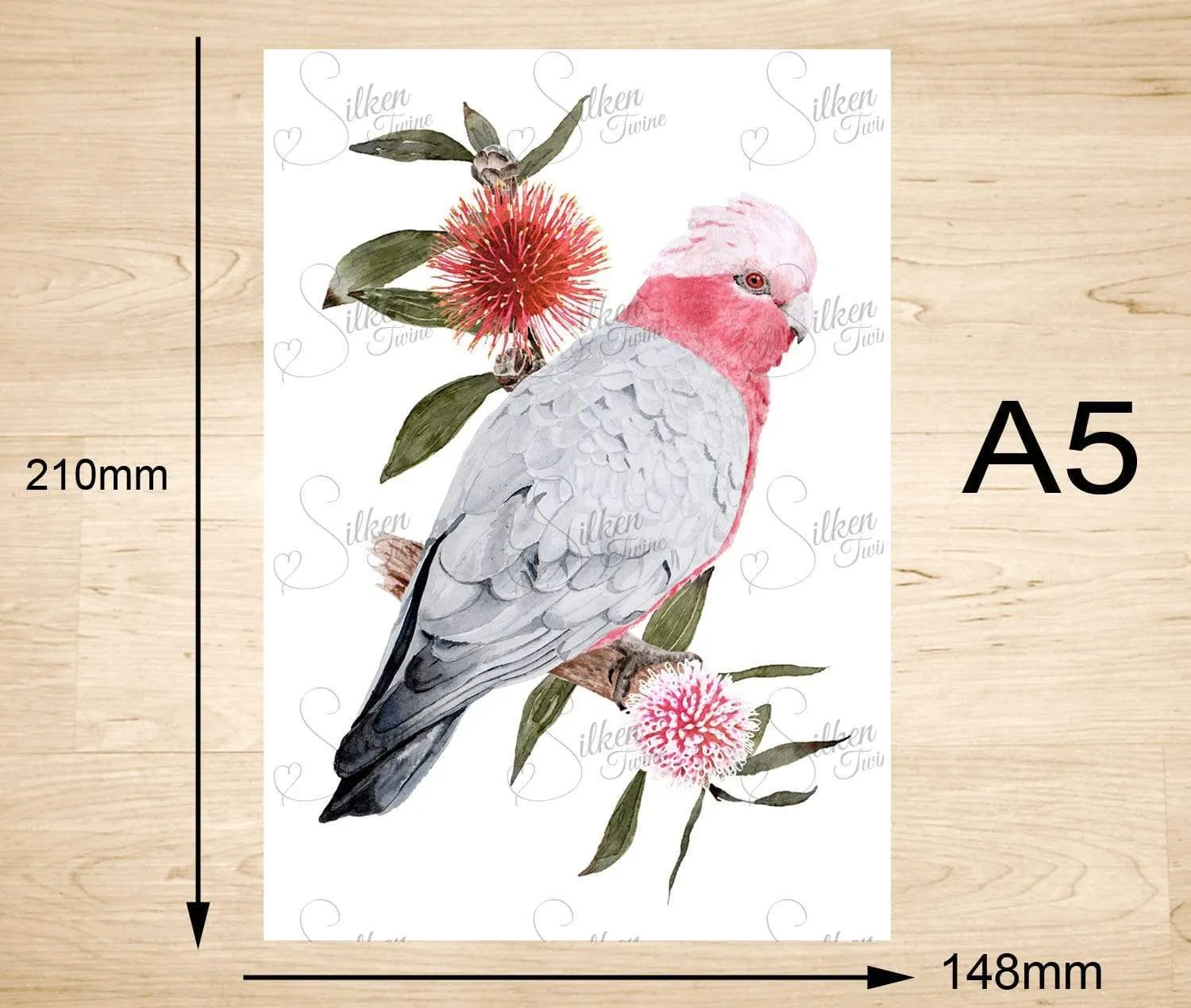 Galah Art Print Right