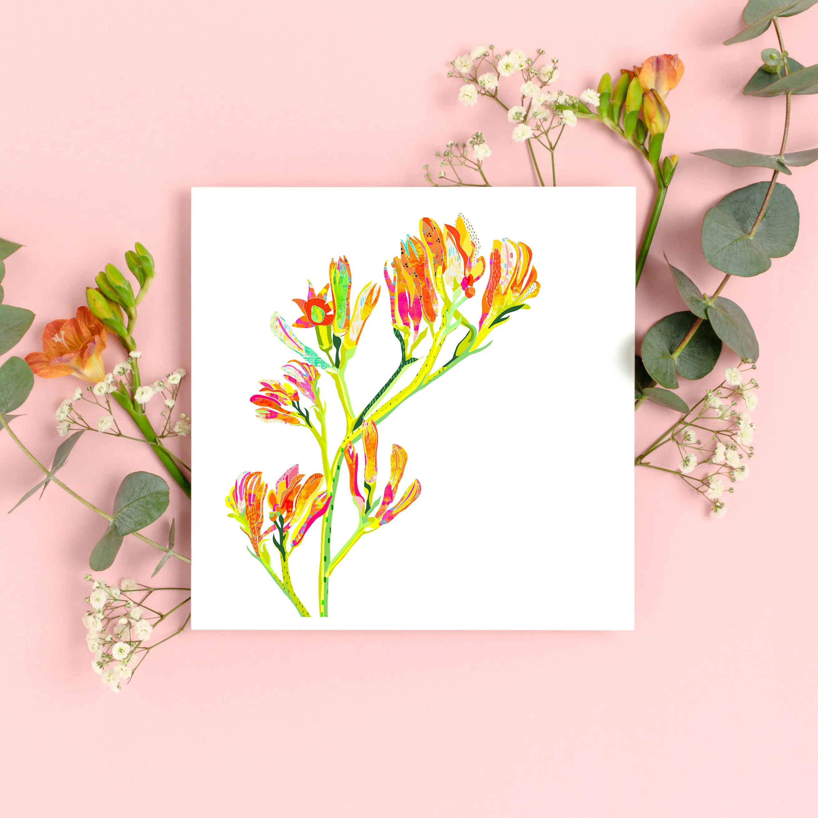 Kangaroo Paws Art Print