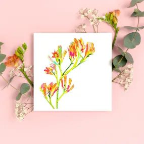 Kangaroo Paws Art Print