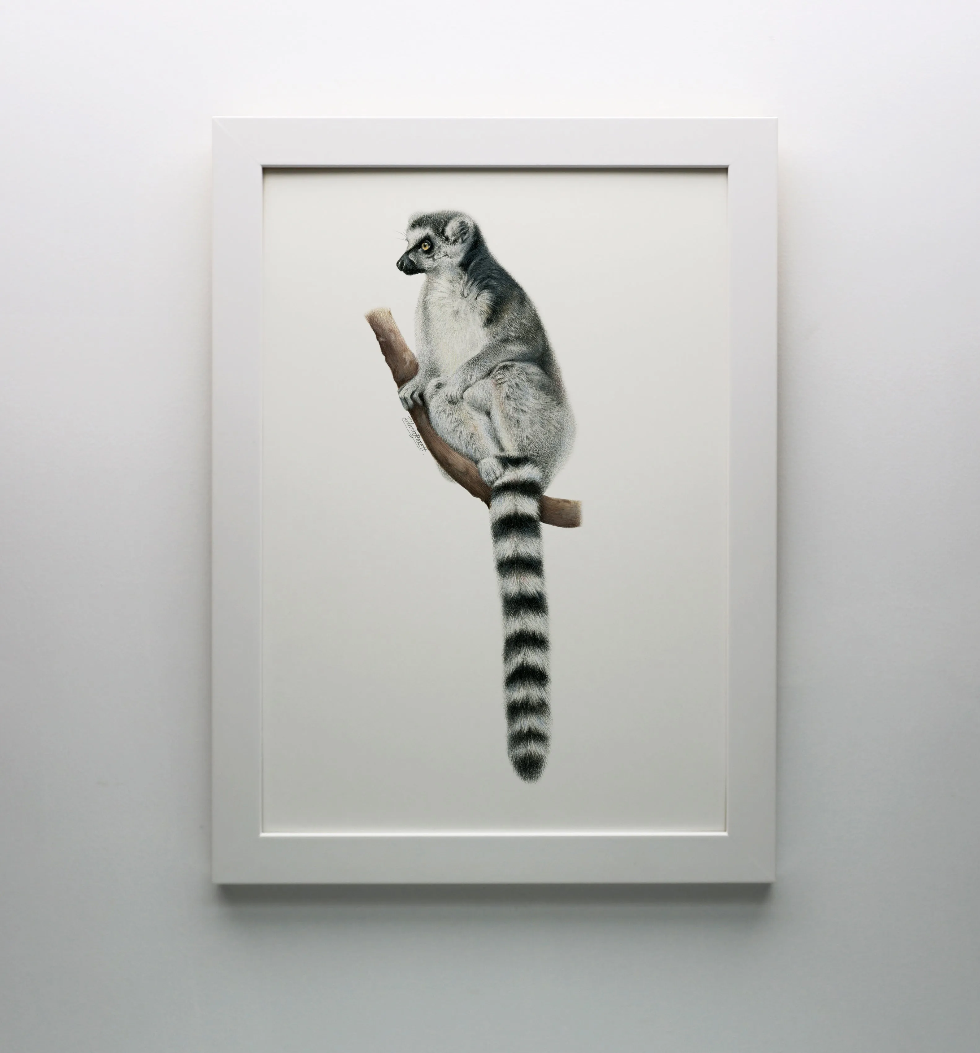 Lemur Print