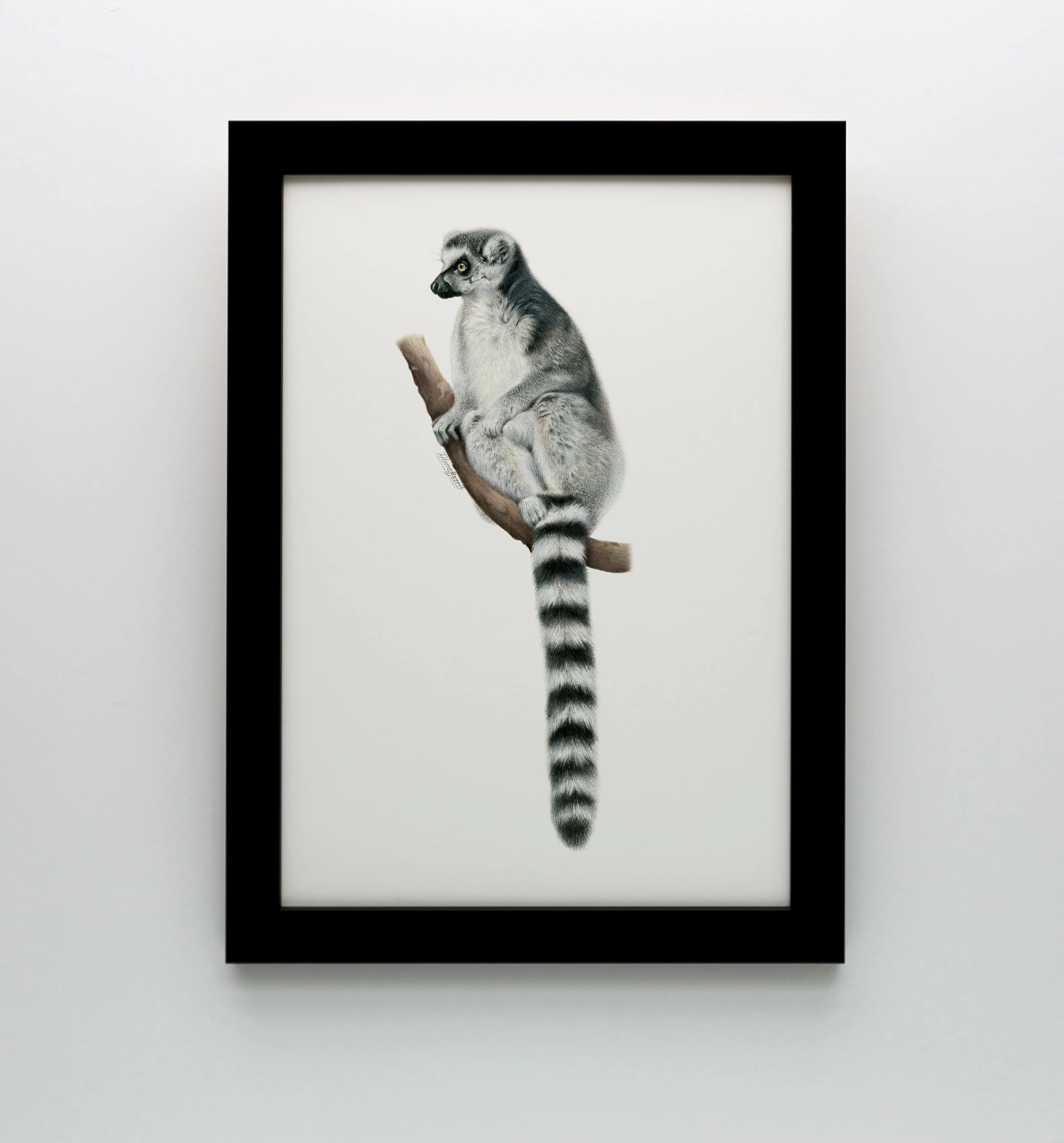 Lemur Print