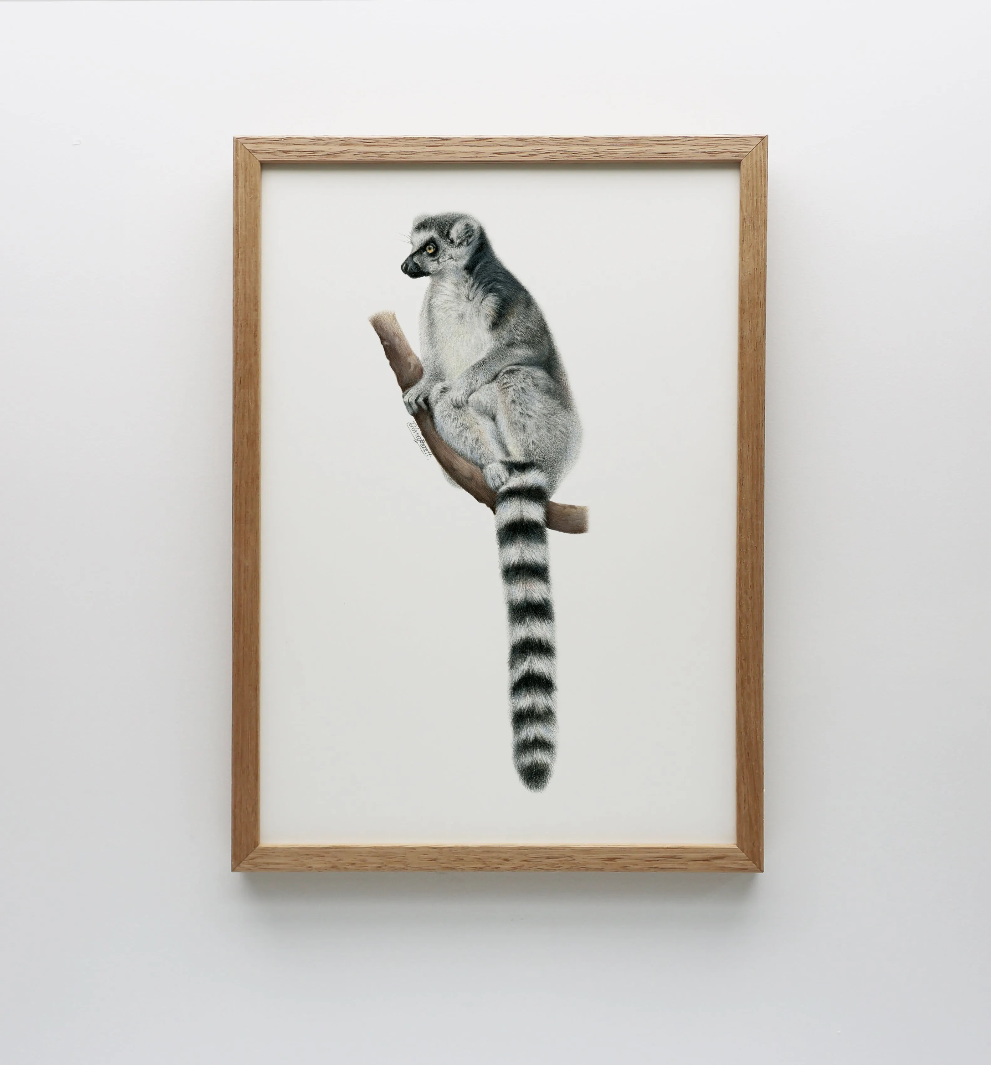 Lemur Print