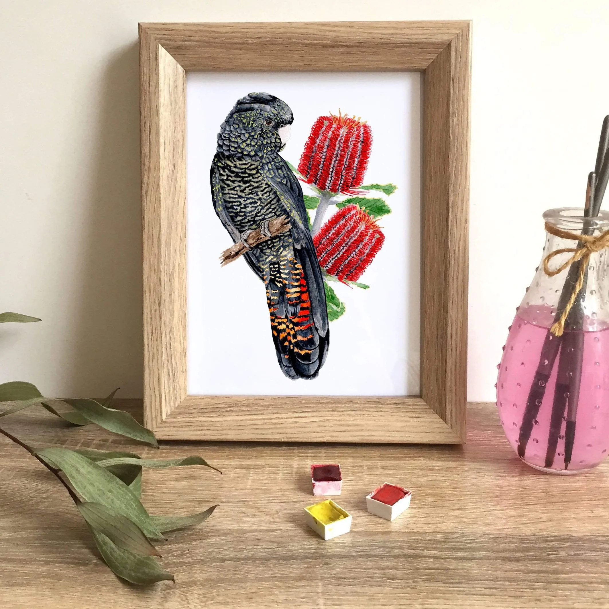 Red Tailed Black Cockatoo Female Art Print