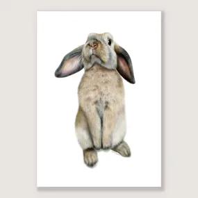 SALE - Curious Bunny print A5