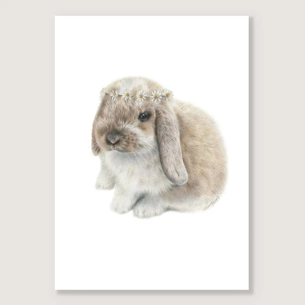 SALE - Daisy Bunny print A4