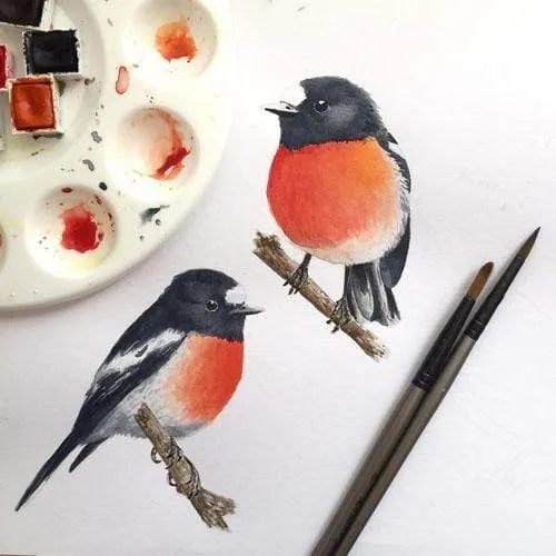 Scarlet Robin Art Print set of 3