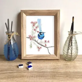 Splendid Blue Wren Print (Front)