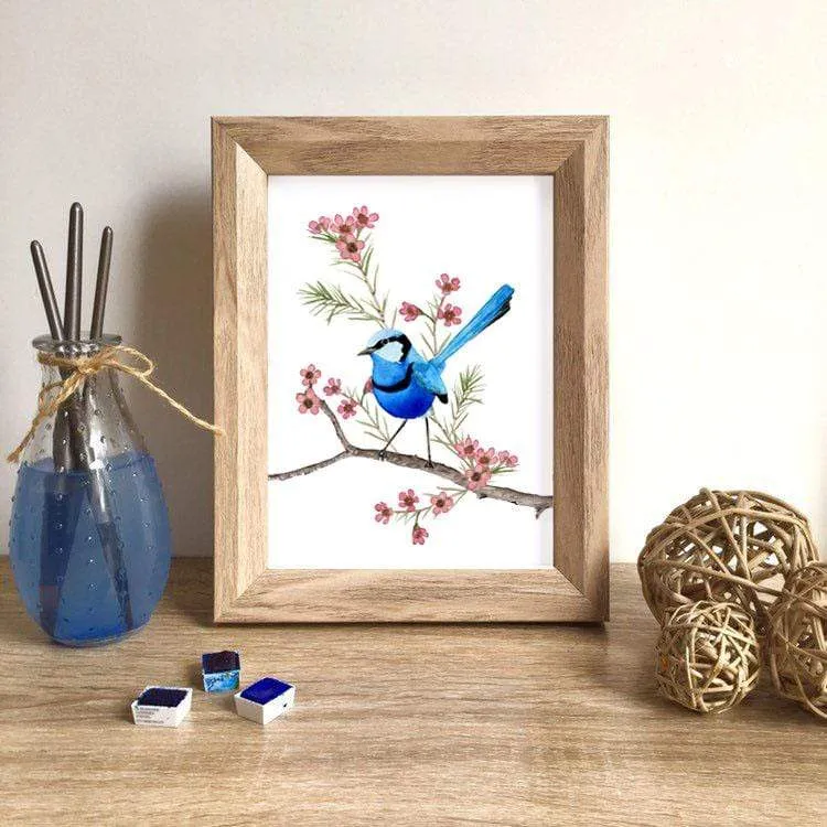 Splendid Blue Wren Print (Left)