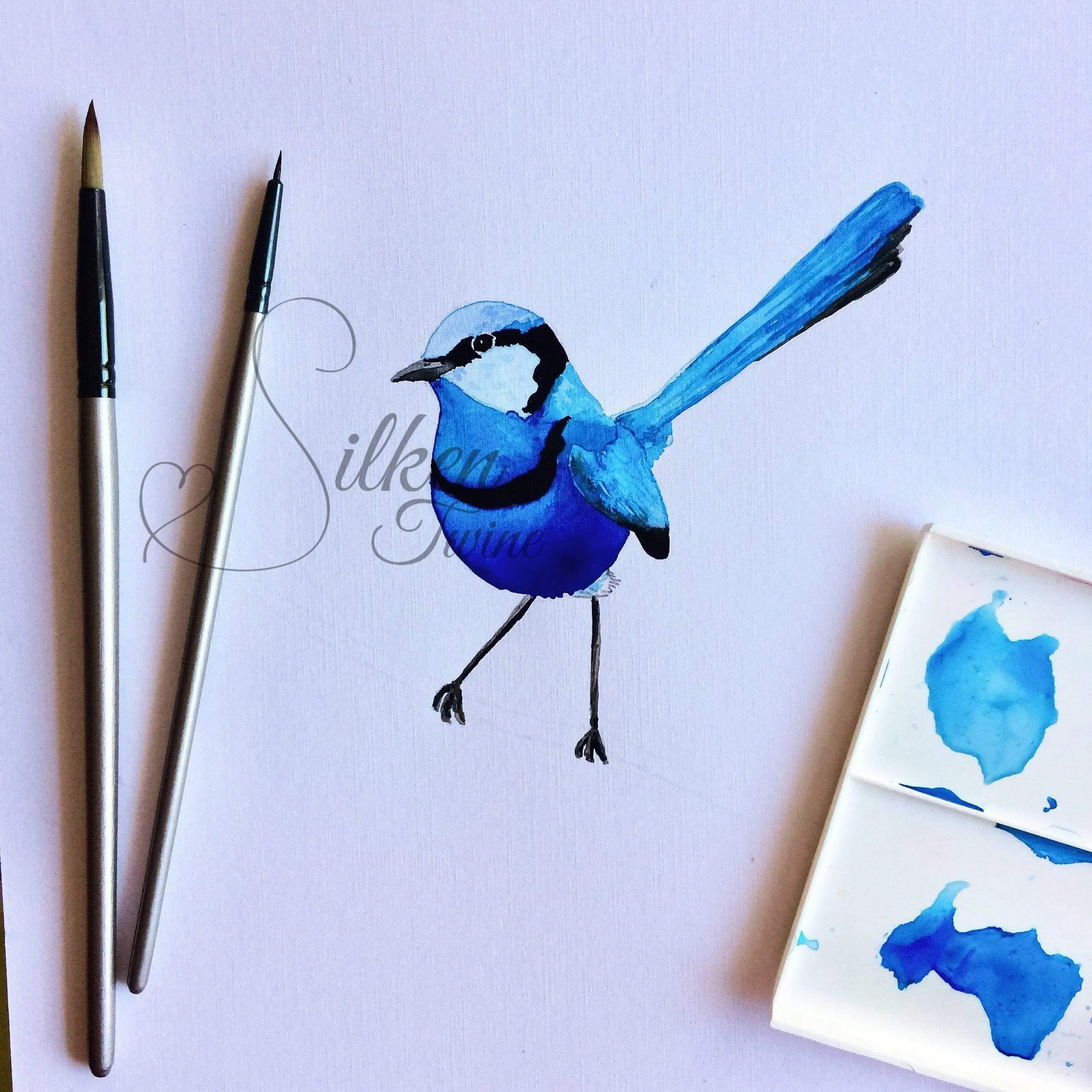 Splendid Blue Wren Print (Left)