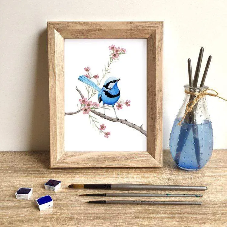 Splendid Blue Wren Print (Right)