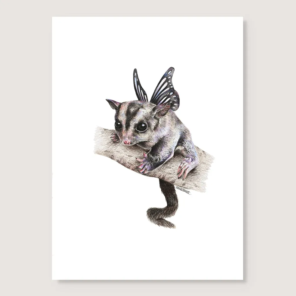 Sugar Glider Print