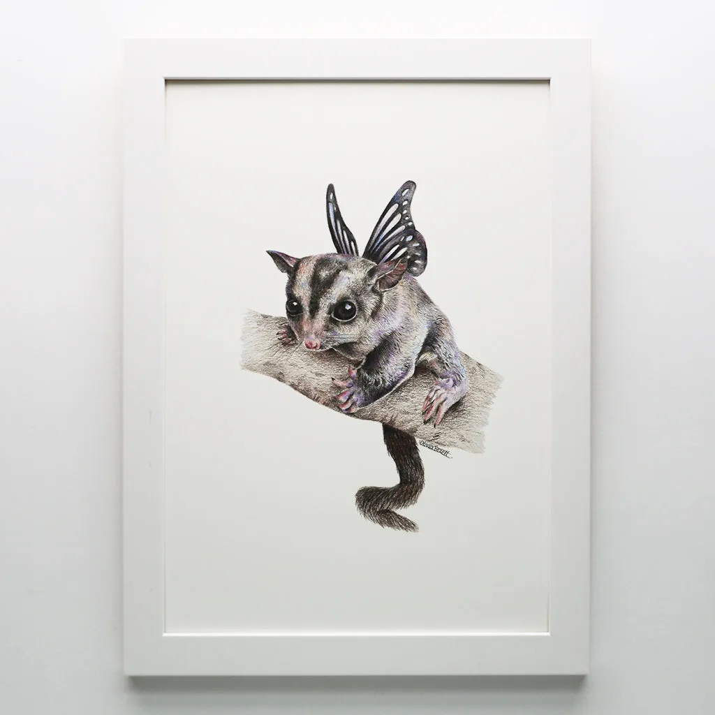 Sugar Glider Print