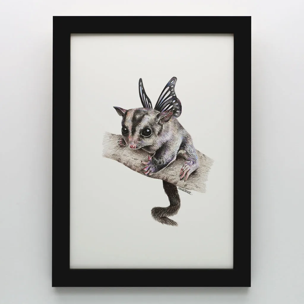 Sugar Glider Print