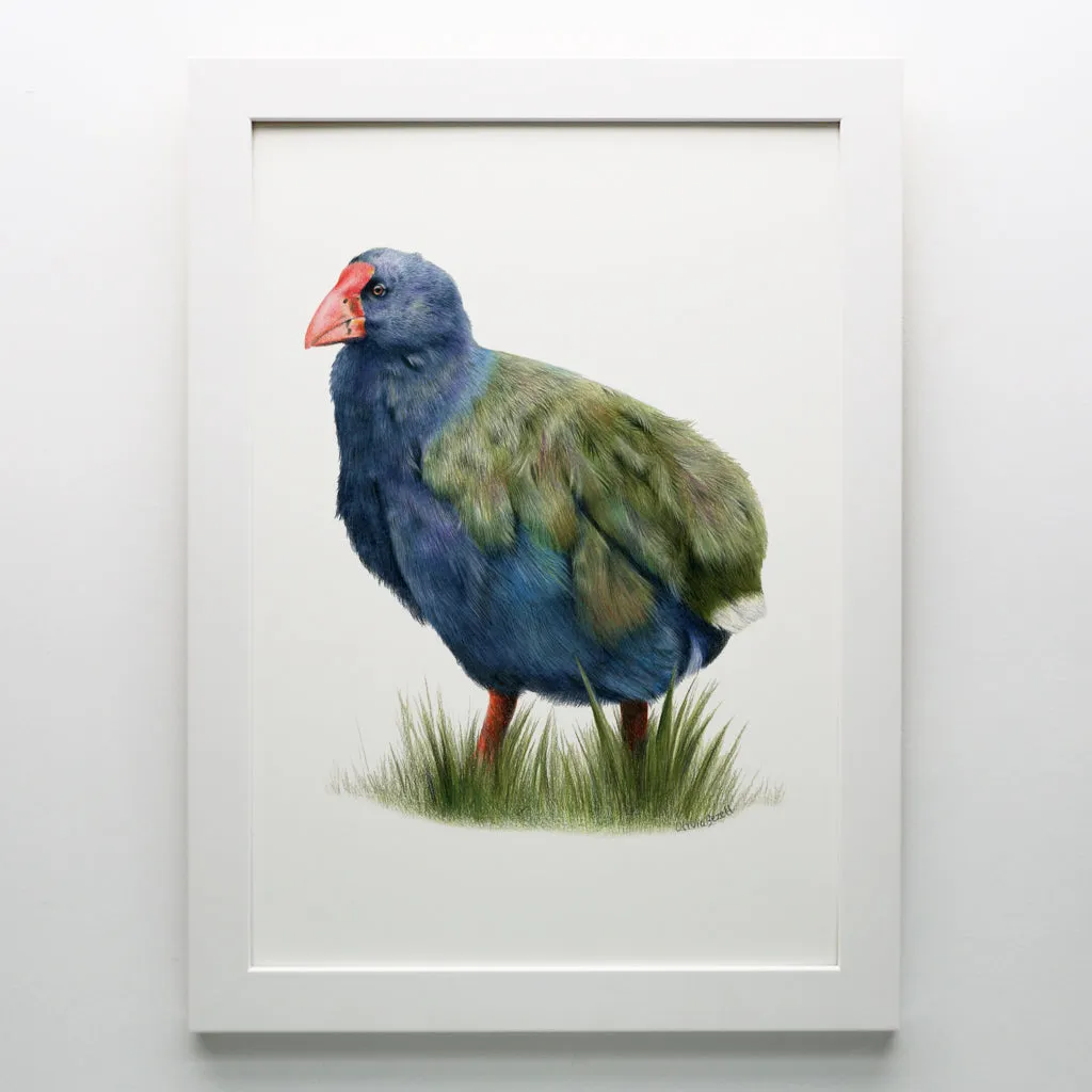 Takahē Print