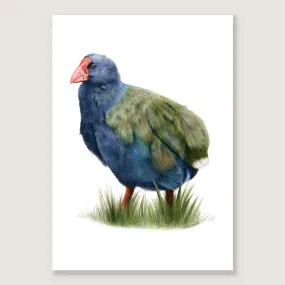 Takahē Print