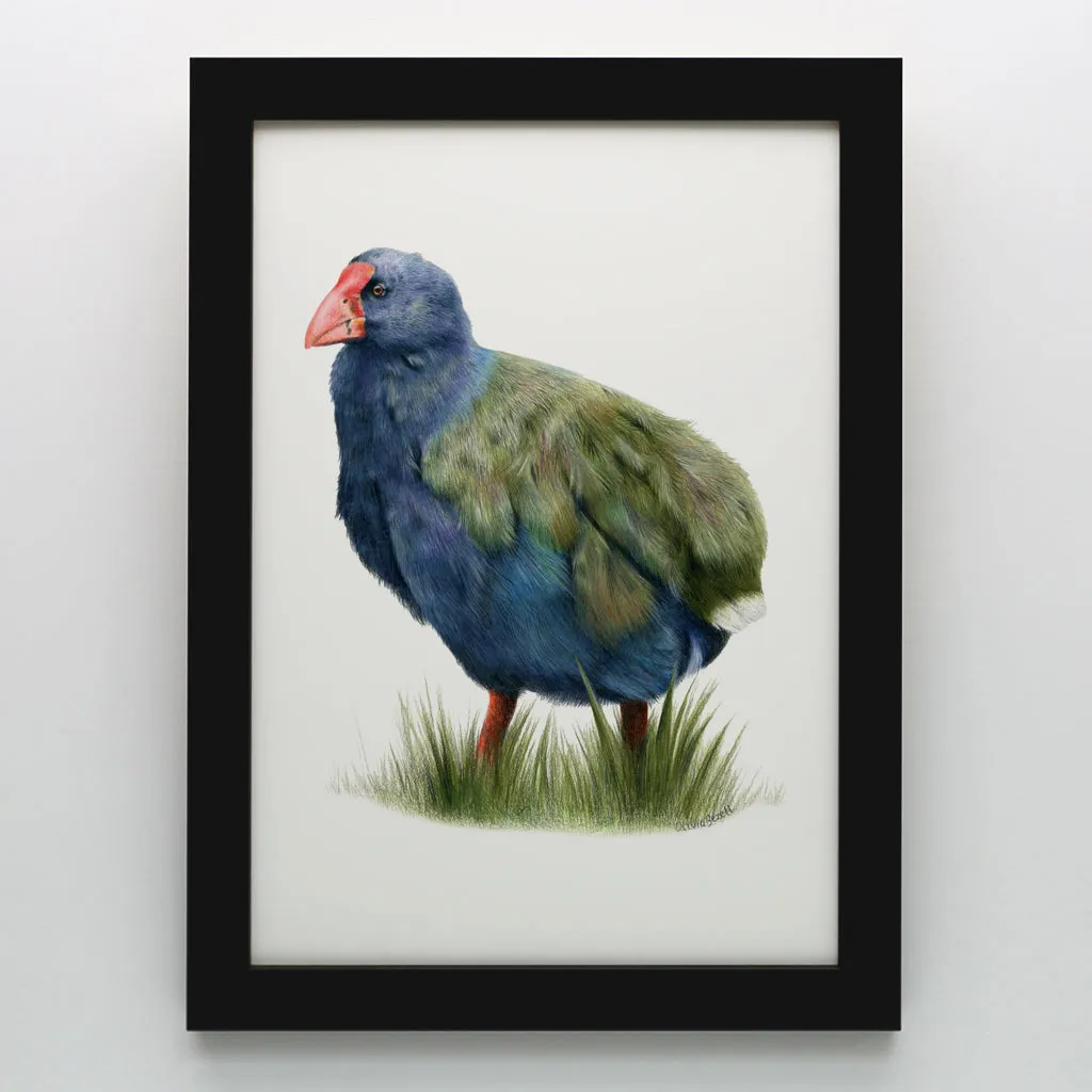 Takahē Print