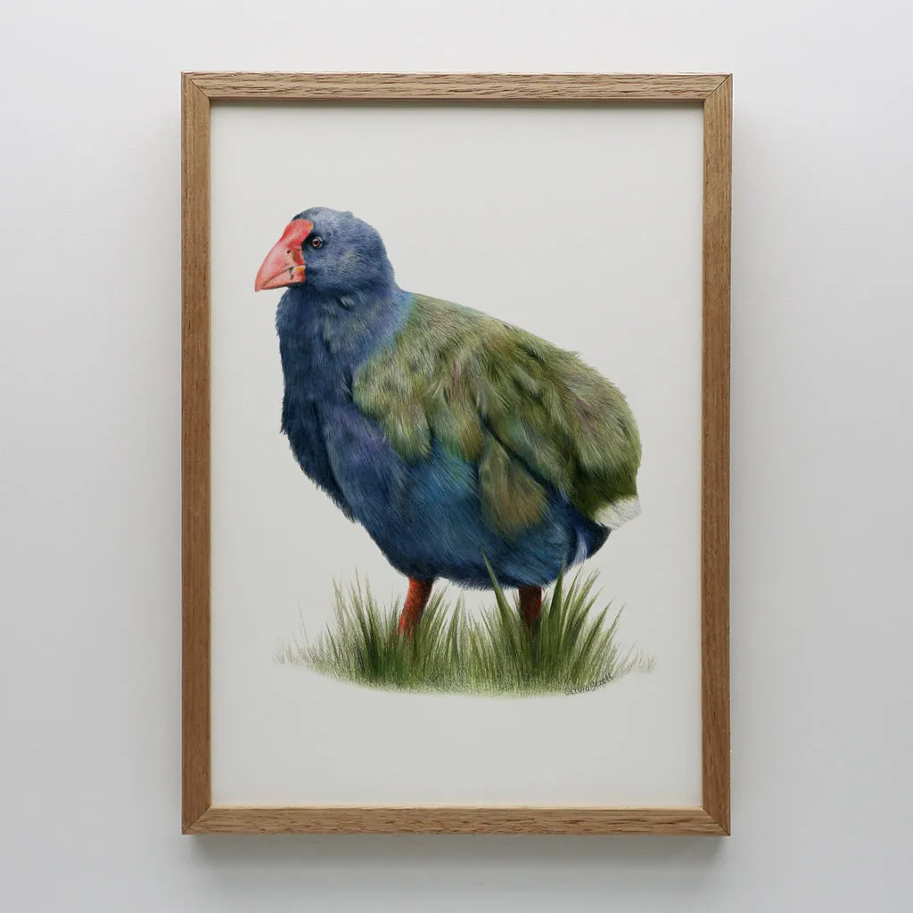 Takahē Print