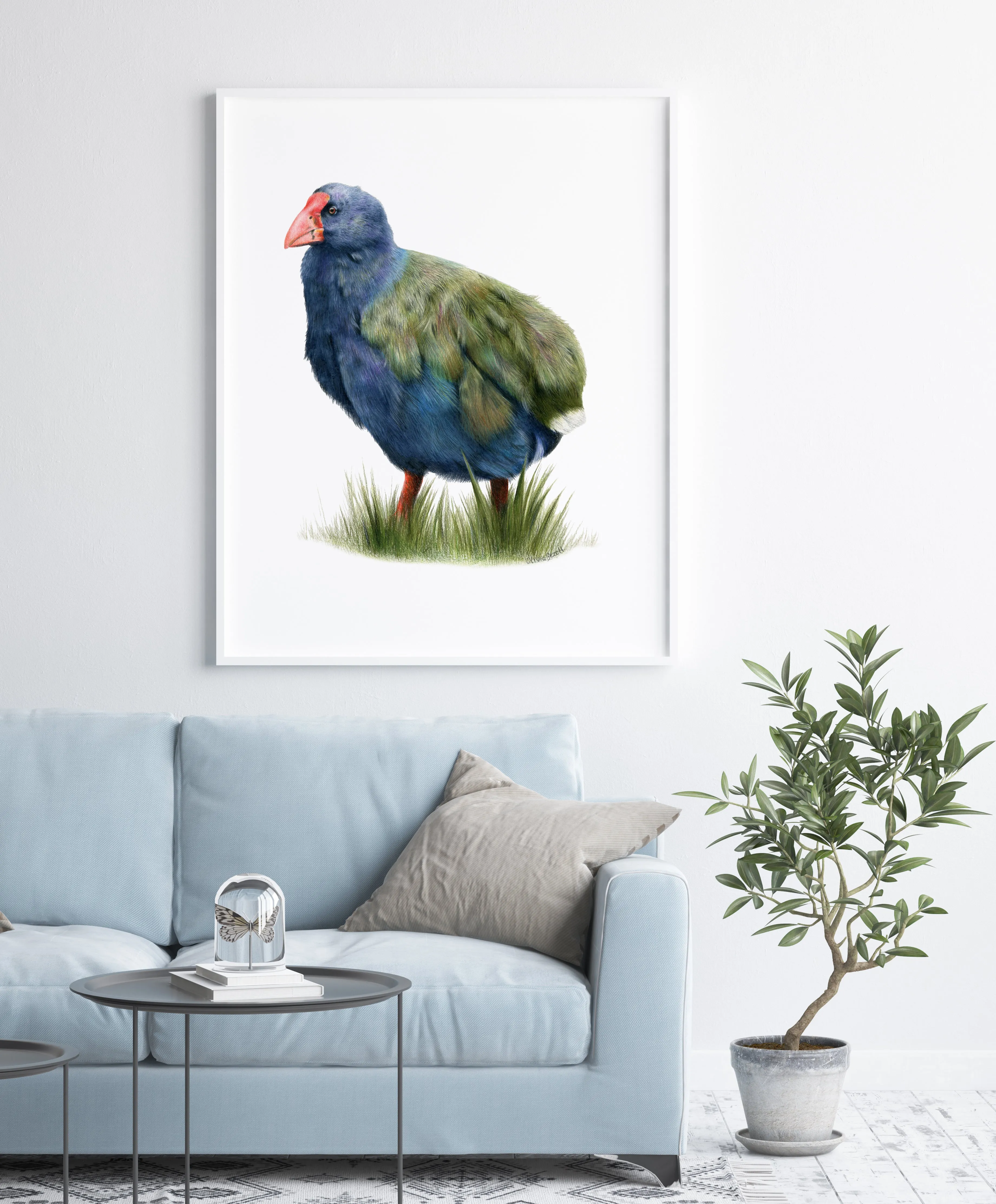 Takahē Print