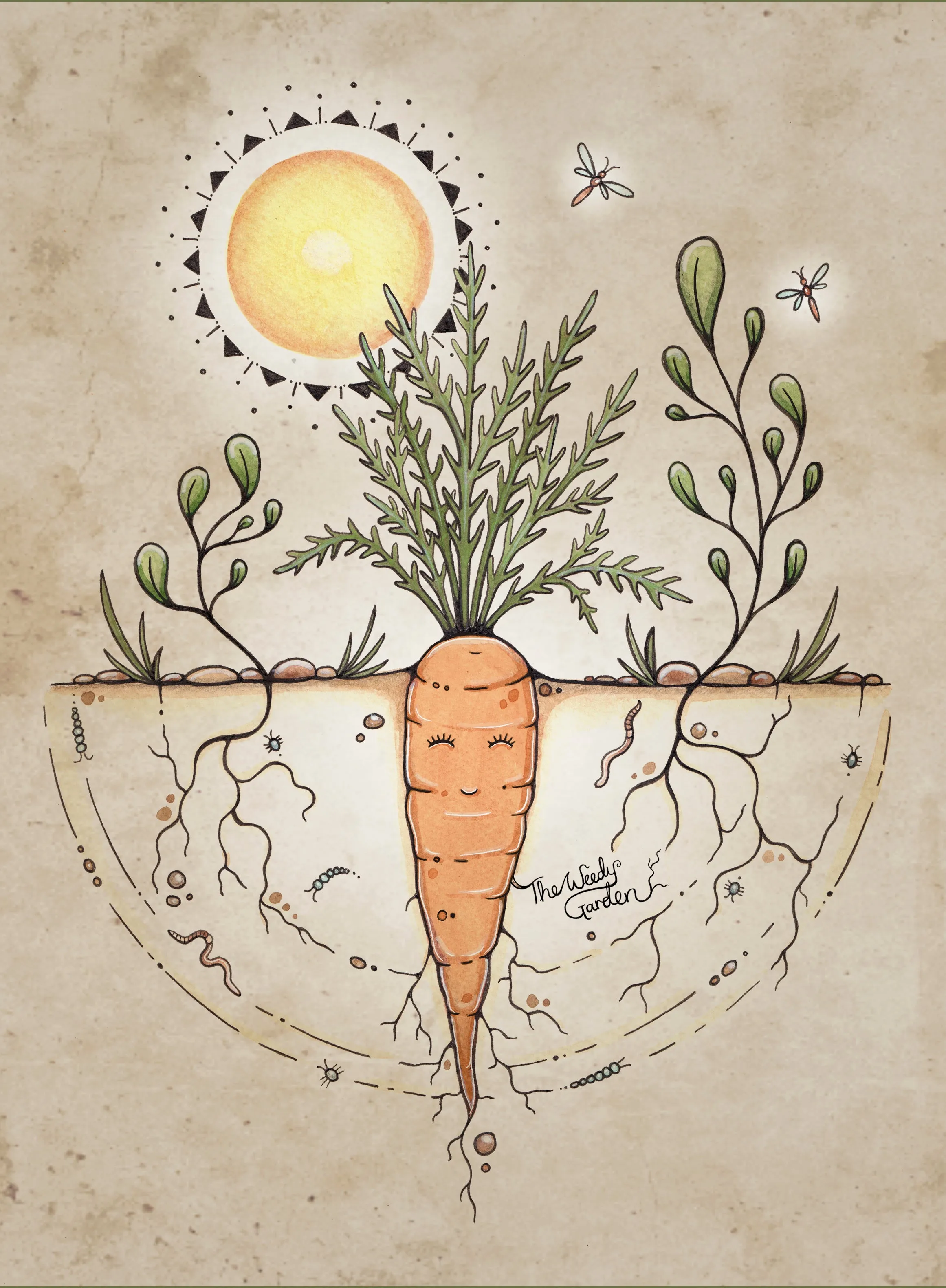 The Calming Carrot Hemp/Cotton Paper Print