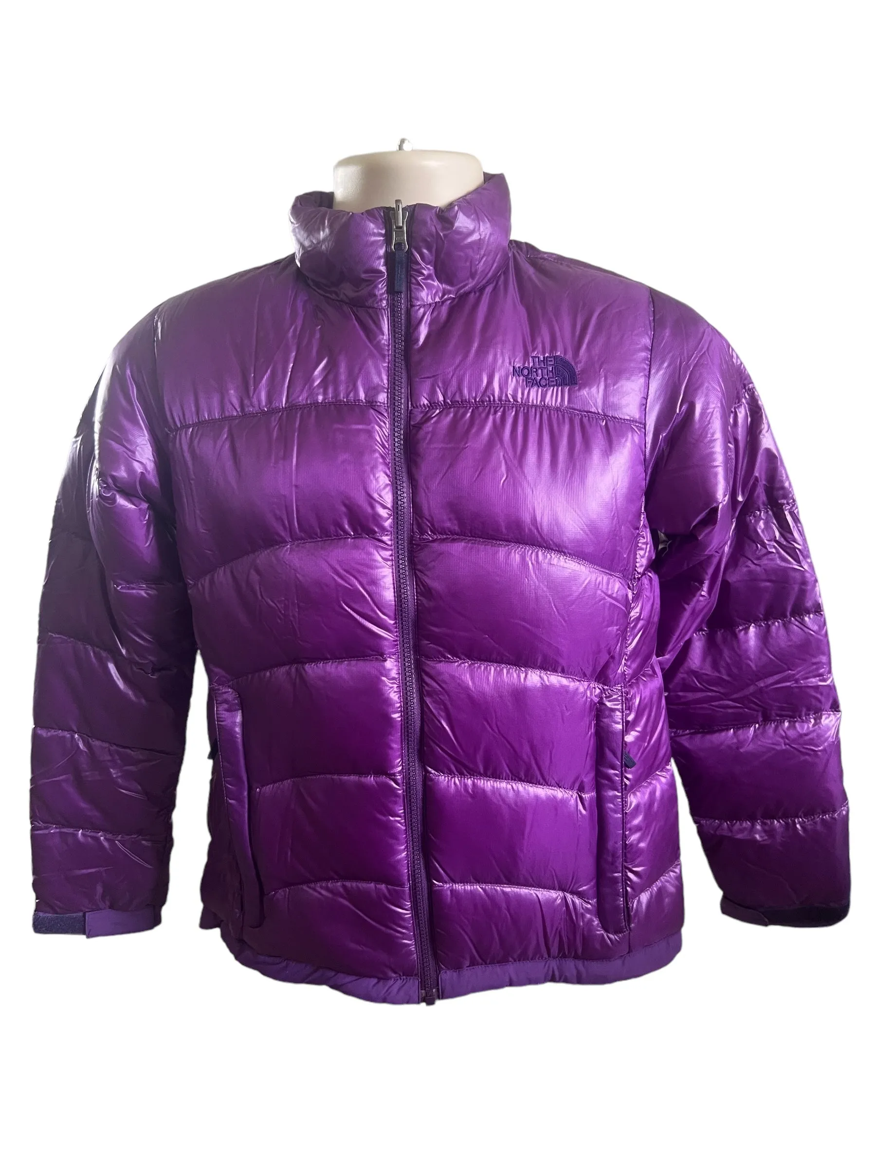 The North Face Purple Jacket